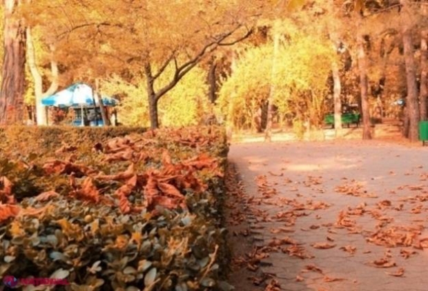 METEO // Vreme neașteptat de CALDĂ săptămâna viitoare