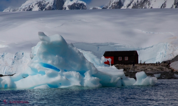 Un om de știință din Antarctica și-a înjunghiat colegul pentru că-i spunea mereu finalul cărților pe care le citea