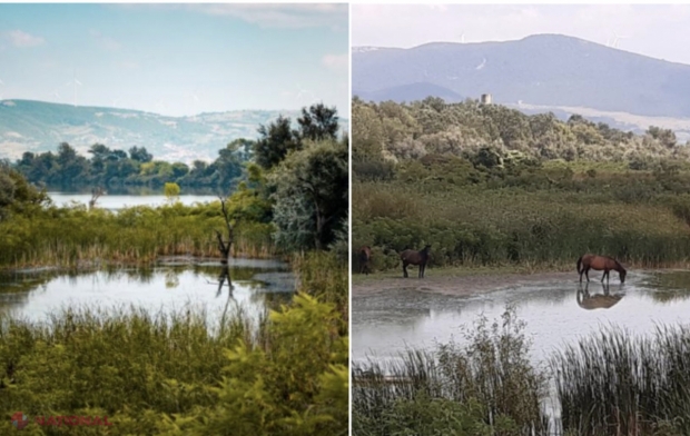 Singura insulă locuită din România este un adevărat colț de Rai. Cum ajung riveranii la propriile lor case