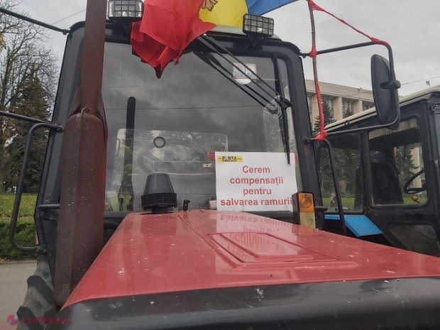Agricultorii amenință din nou cu proteste, dacă nu sunt primiți la discuții cu președinta Maia Sandu și spicherul Igor Grosu: „Ajutorul de 100 de milioane de lei anunțat de Guvern reprezintă un suport financiar foarte mic și ineficient”