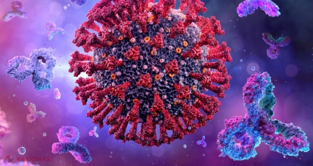 Expert: „Oamenii s-ar putea reinfecta cu coronavirus la fiecare 2 sau 4 ani. Se dezvoltă noi variante”