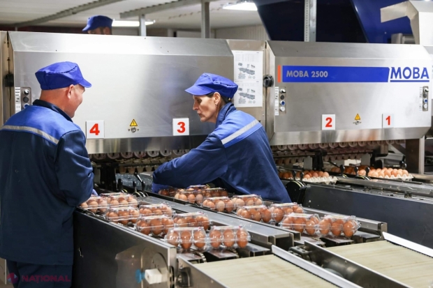 Dorin Recean, în vizită la prima fabrică avicolă care a obținut dreptul de a exporta ouă în UE: ,,Felicit întreaga echipă pentru această reușită importantă. Împreună, reușim să construim Europa acasă