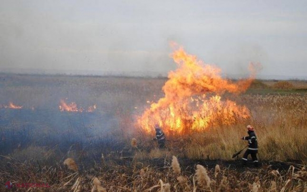 Arde Moldova! Zeci de hectare de pădure de sub Chișinău, DISTRUSE
