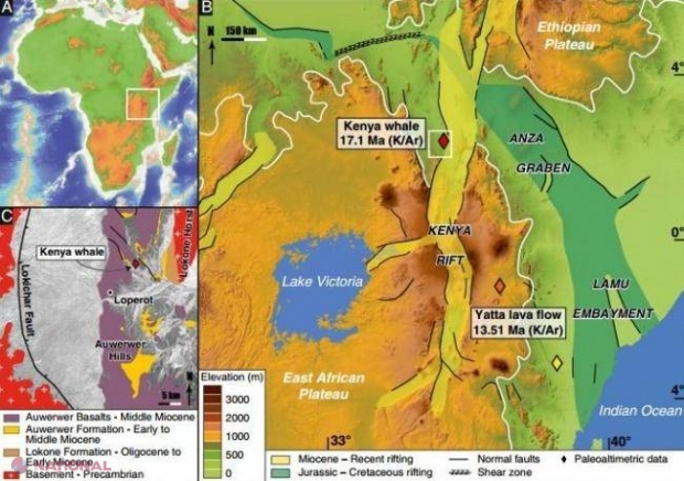  DESCOPERIREA care ar putea rescrie ISTORIA OMENIRII! Ce au găsit oamenii de ştiinţă într-un lac din Kenya 
