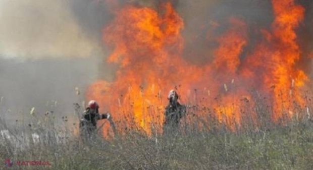 PERICOL EXCEPȚIONAL // INCENDIU puternic la o gunoiște din apropierea Chișinăului