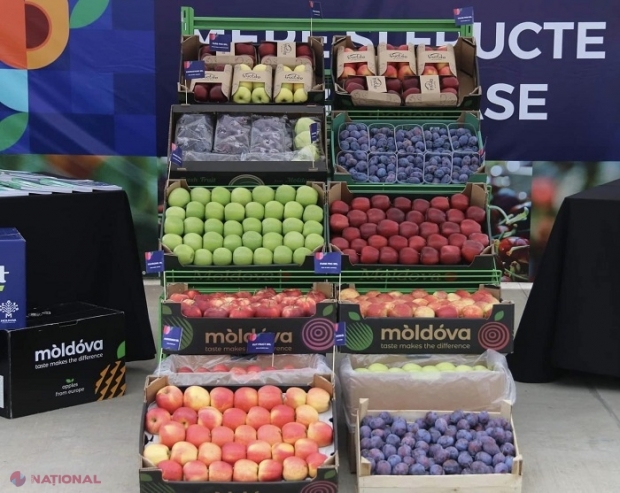 Exporturile moldovenești de MERE, PRUNE și STRUGURI, în creștere: Sute de mii de tone de fructe din R. Moldova, exportate în mod special pe piața UE