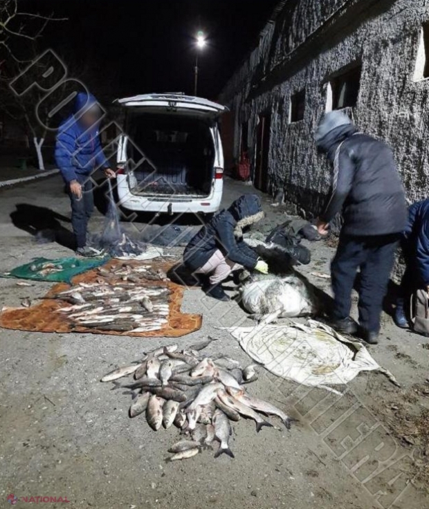 VIDEO // Prinși la pescut ilegal în zona de frontieră: Aveau 100 kg de pește, când au fost săltați de oamenii legii