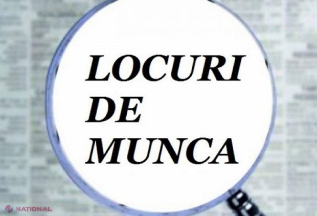 INFOGRAFIC // Cea mai CĂUTATĂ meserie din R. Moldova: Mii de locuri vacante anunțate de autorități