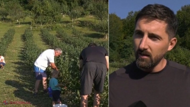 Fructul care poate înlocui cafeaua. ,,Mănânc 9-10 bobiţe dimineaţa şi îmi dă energie în plus. Am eliminat cafeaua