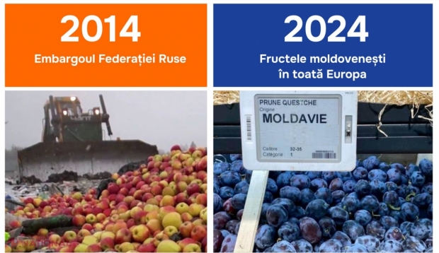 FOTO // Cum își băteau joc „partenerii strategici” de agricultorii din R. Moldova. „Fructele moldovenești erau distruse acum zece ani cu BULDOZERELE lângă Moscova, dar acum sunt tot mai des întâlnite în supermarketurile din Europa”