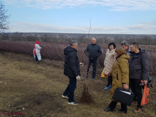 O delegație a „Rosselhoznadzor” din Rusia, în R. Moldova: Inspectează pepinierele din Orhei și Strășeni 