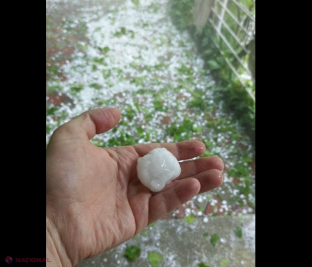 Ploile puternice continuă să provoace daune: Aproape 600 de hectare cu semănături și livezi, distruse de grindină în weekendul trecut