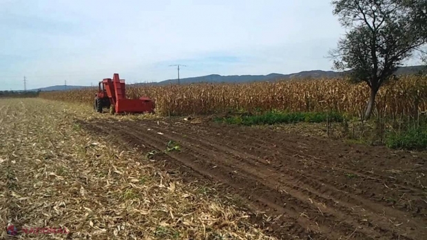 A achitat mii de euro pentru o combină și a fost PĂCĂLIT. Cum și-a RECUPERAT un fermier din Strășeni banii