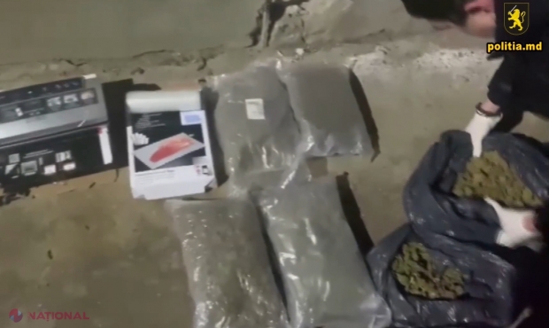 VIDEO // Droguri de peste 3 000 000 de lei, depistate la doi bărbați din Cahul. Geanta în care erau transportate drogurile a fost stropită cu benzină, pentru ca substanțele interzise să nu fie detectate de câinii poliției