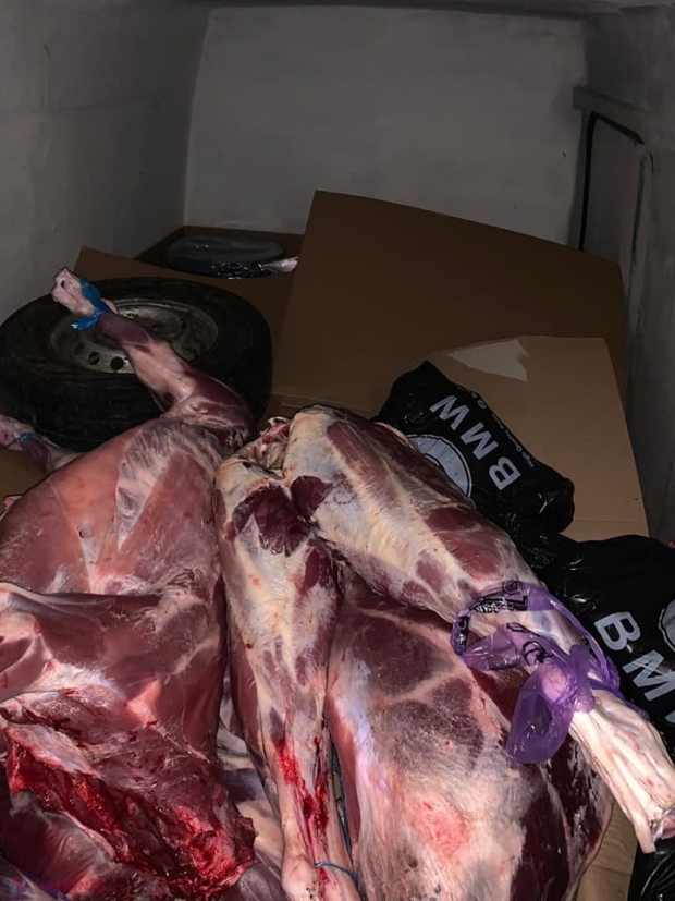 Sute de kilograme de carne de VITĂ, transportate la piețele din Chișinău fără acte și în condiții insalubre