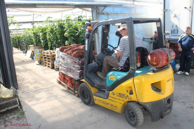 MAI MULTE ȘANSE ca fructele și legumele moldovenești să fie VÂNDUTE în Canada