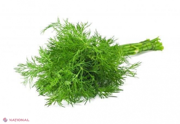 Îți place MĂRARUL? Ce MIRACOLE face această plantă