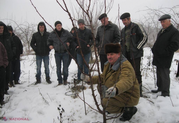 Experții în horticultură dezvăluie NOUTĂȚILE în tăierea curăţarea pomilor fructiferi