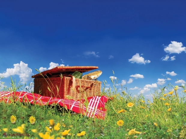Sfatul nutriţionistului Tamara Șchiopu // Sezonul picnicurilor