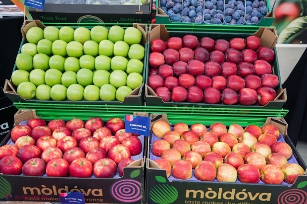 INFOGRAFIC // R. Moldova, LIDER MONDIAL la producția de mere pe cap de locuitor
