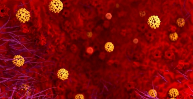 Un virus hibrid COVID-19, ce combină variantele din India și Marea Britanie, descoperit în Vietnam