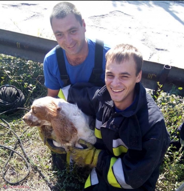Un câine a căzut într-o fântână de canalizare din Chișinău cu adâncimea de trei metri: Cum a fost salvat