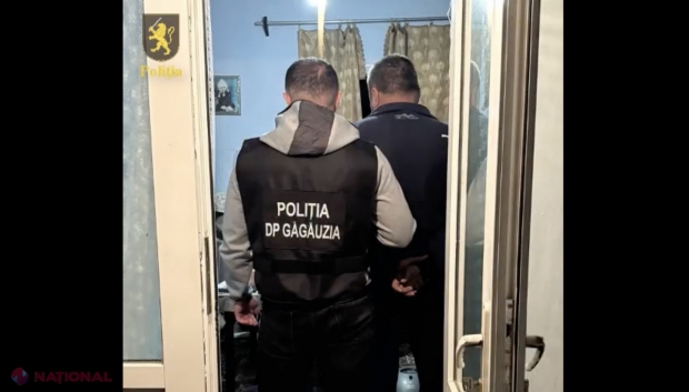 VIDEO // Droguri în valoare de peste un MILION de lei, depistate la domiciliile unor persoane din Vulcănești, Taraclia și satul Colibași din Cahul