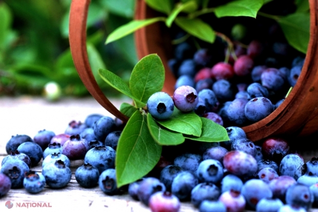 Business-ul în care îţi recuperezi investiţia de 100 de ori!! REŢETA succesului este extrem de simplă şi la îndemâna oricui. „Profitul este de 6.000 de euro la fiecare hectar”