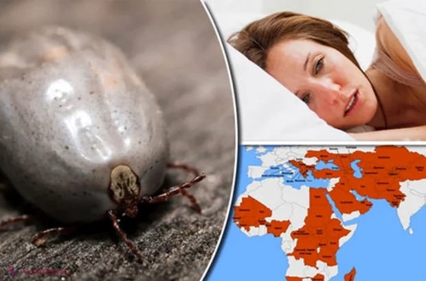 Un nou virus MORTAL se răspândește în Europa, din cauza schimbărilor climatice. Avertismentul OMS