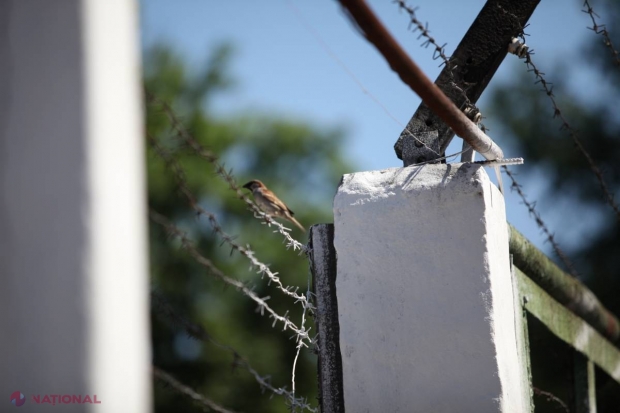 Nisporeni // Și-a omorât vecinul și a fugit în Ucraina. Cum a scăpat de cadavru