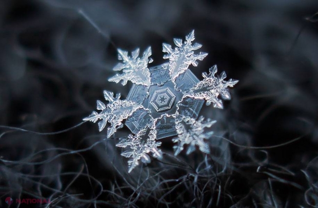 Foto // Cât de SPECTACULOȘI sunt fulgii de zăpadă! Te vor lăsa fără cuvinte 
