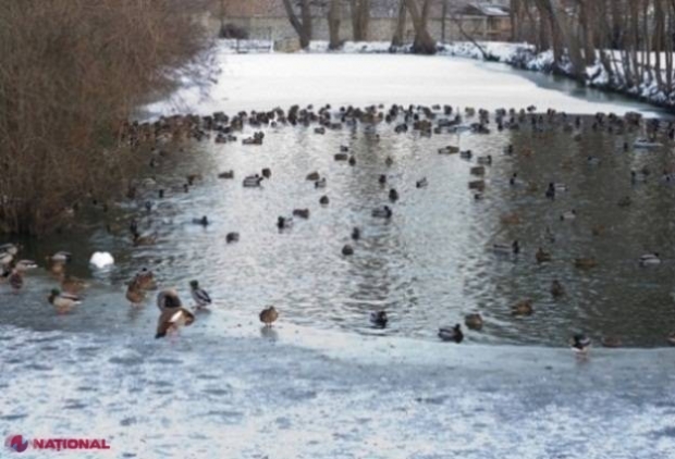 Cea mai SCĂZUTĂ temperatură din această iarnă: MINUS 22 de grade Celsius într-o localitate din R. Moldova