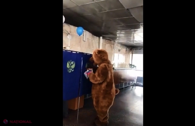 VIDEO // A mers la vot îmbrăcat în costum de urs