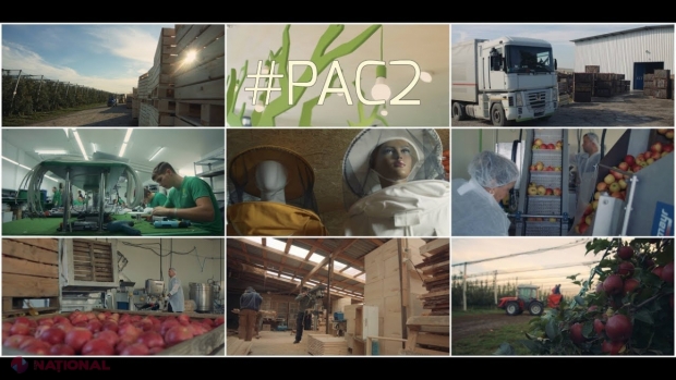 Fiecare dolar din granturile PAC II a generat exporturi în valoare de peste 8 dolari: Peste 110 companii din R. Moldova, ajutate să-și îmbunătățească potențialul de export  