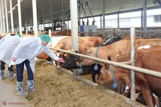 GALERIE FOTO Cum arată un fost COLHOZ din Letonia! Obține anual două MILIOANE de euro