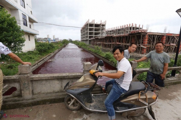 ÎNGROZITOR // Râu de sânge în China