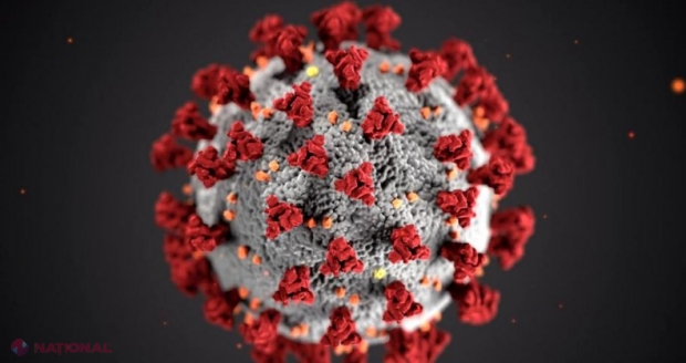 Denumirea tulpinilor de coronavirus, schimbată de OMS
