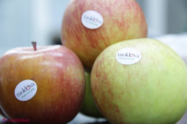 DATE // Pe ce PIEȚE din lume ajung MERELE, PRUNELE și STRUGURII din R. Moldova