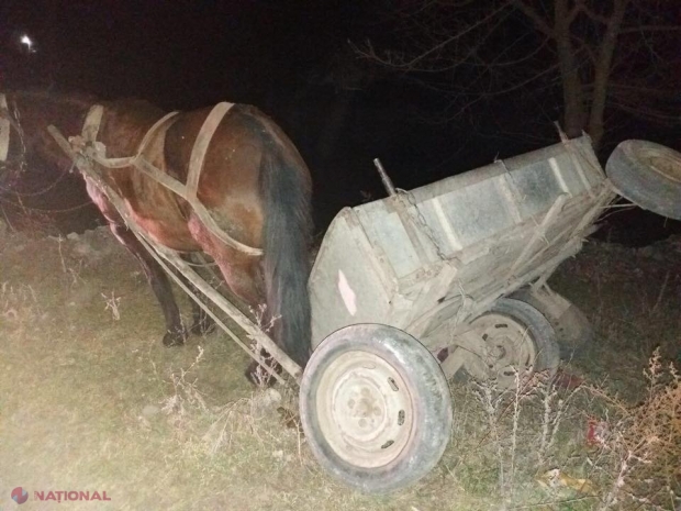 FOTO // Deși abia se ținea pe picioare, și-a pus copilul de doi ani în căruță și a pornit la drum: Hipomobil, RĂSTURNAT în raionul Șoldănești