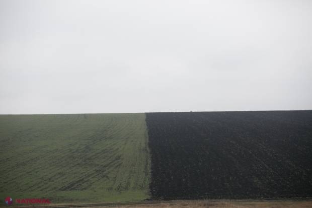 Funcționarul din R. Moldova care a ASCUNS 84 de IMOBILE