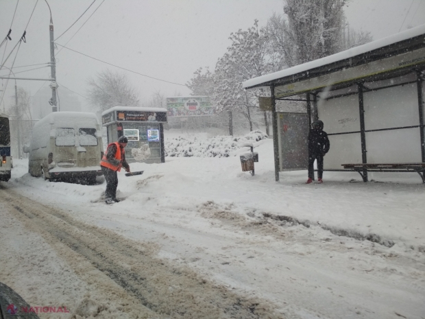 Troleibuzele NU au circulat în această dimineață în sectorul Buiucani: Explicația autorităților locale 