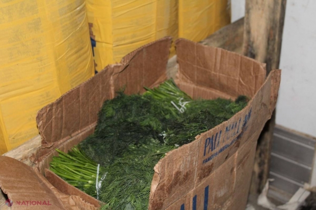 Un lot impunător de MĂRAR și PĂTRUNJEL din Uzbekistan, INTERZIS în R. Moldova: Era ambalat în cutii pentru țigări