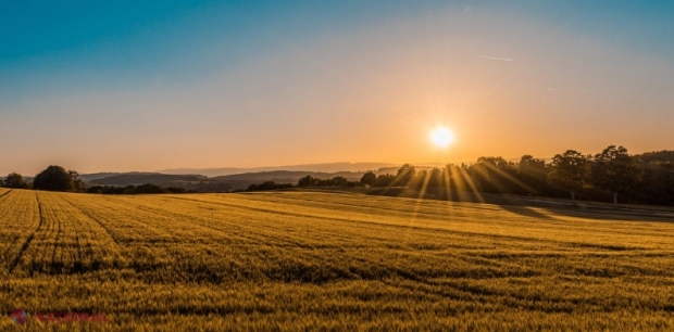 Parlamentul a MODIFICAT modul de vânzare și cumpărare a PĂMÂNTULUI