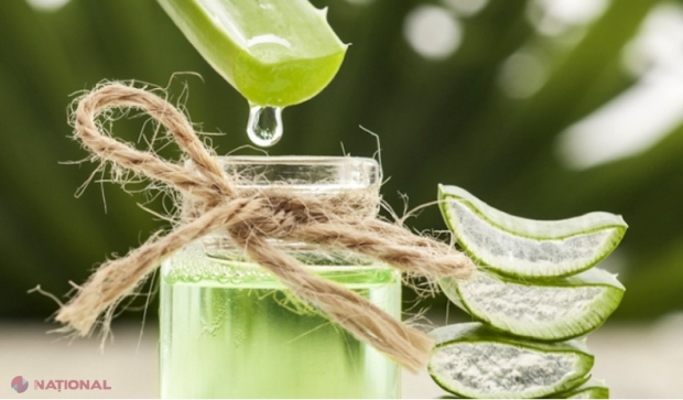 Aloe Vera: planta cu beneficii pentru piele și sănătate