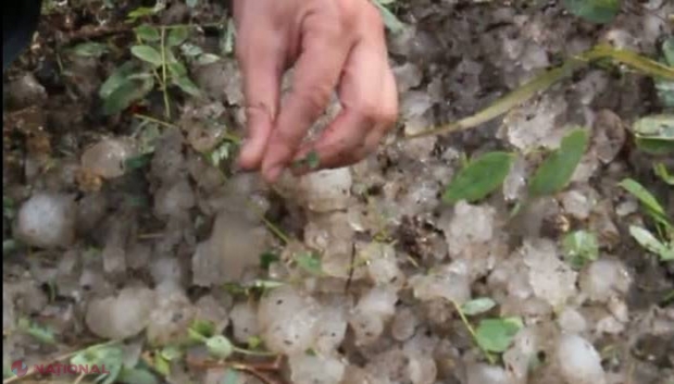 EXPERT // Grindina din ultimele zile nu va aduce scumpiri