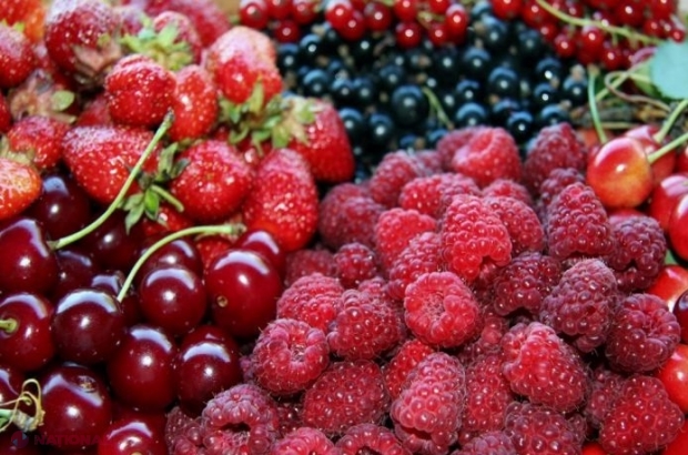 Roadă BOGATĂ în acest an: Pe ce piețe externe ajung cireșele, căpșunile și vișinele din R. Moldova