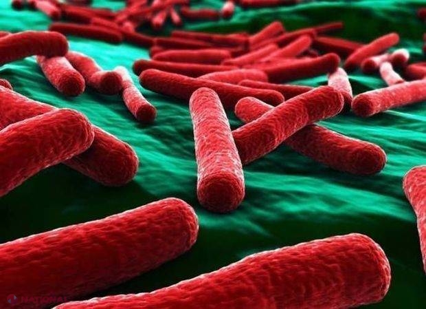 Iată bacteria REZISTENTĂ la orice antibiotic. Poate CAUZA mii de decese