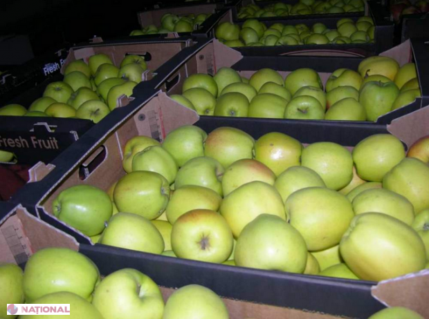 Războiul economic între Rusia și Belarus continuă! Au fost blocate 190 de tone de produse agricole, inclusiv moldovenești