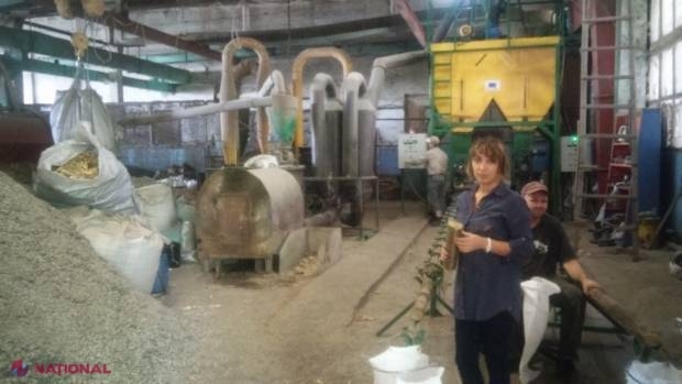 REGRES // Numărul întreprinderilor din R. Moldova a scăzut, la fel ca și veniturile salariaților