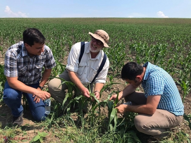 Un profesor-horticultor din SUA le recomandă fermierilor din R. Moldova să folosească la maximum îngrășăminte VERZI pentru a îmbunătăți randamentul culturilor agricole